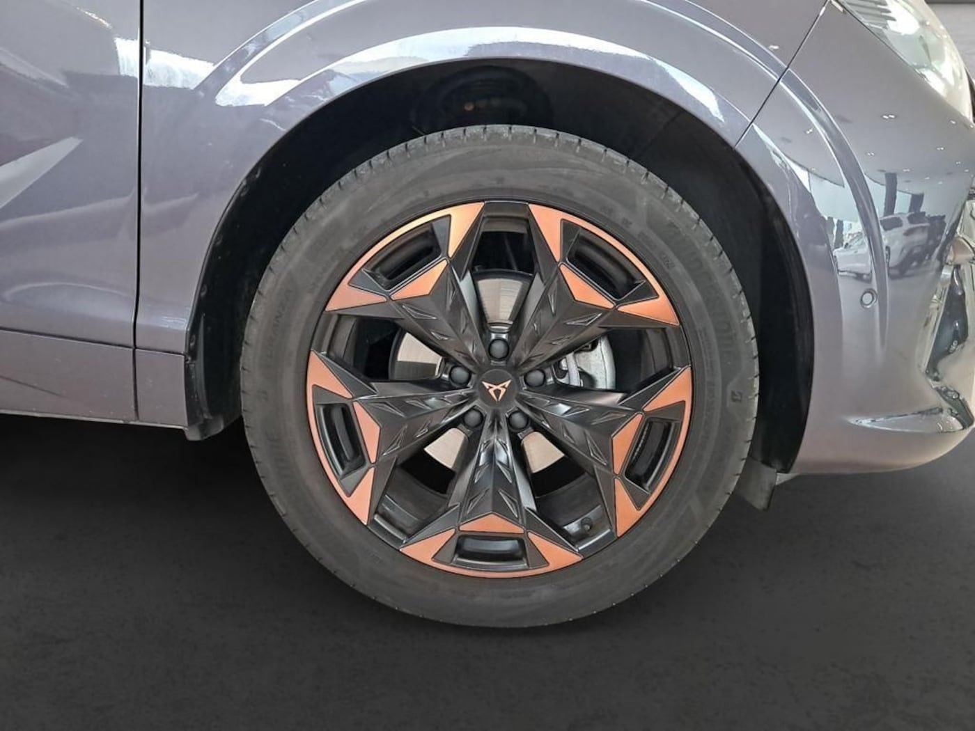 CUPRA Terramar 1.5 eTSI DSG 110 kW (150 CV) — photo 8