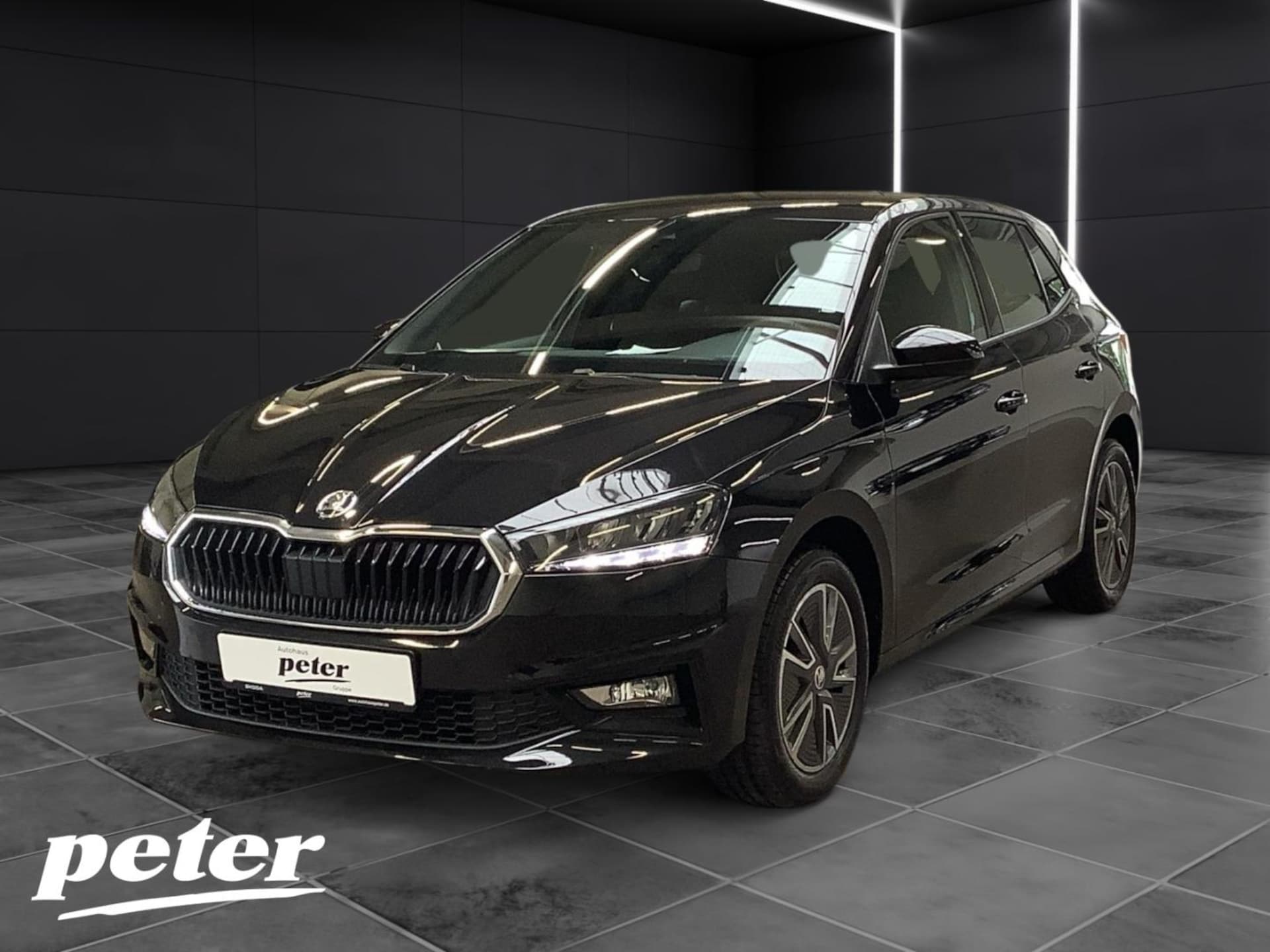 Skoda Fabia Selection
