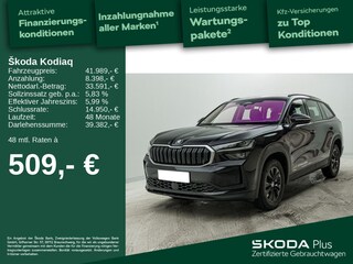 erstes Vorschaubild