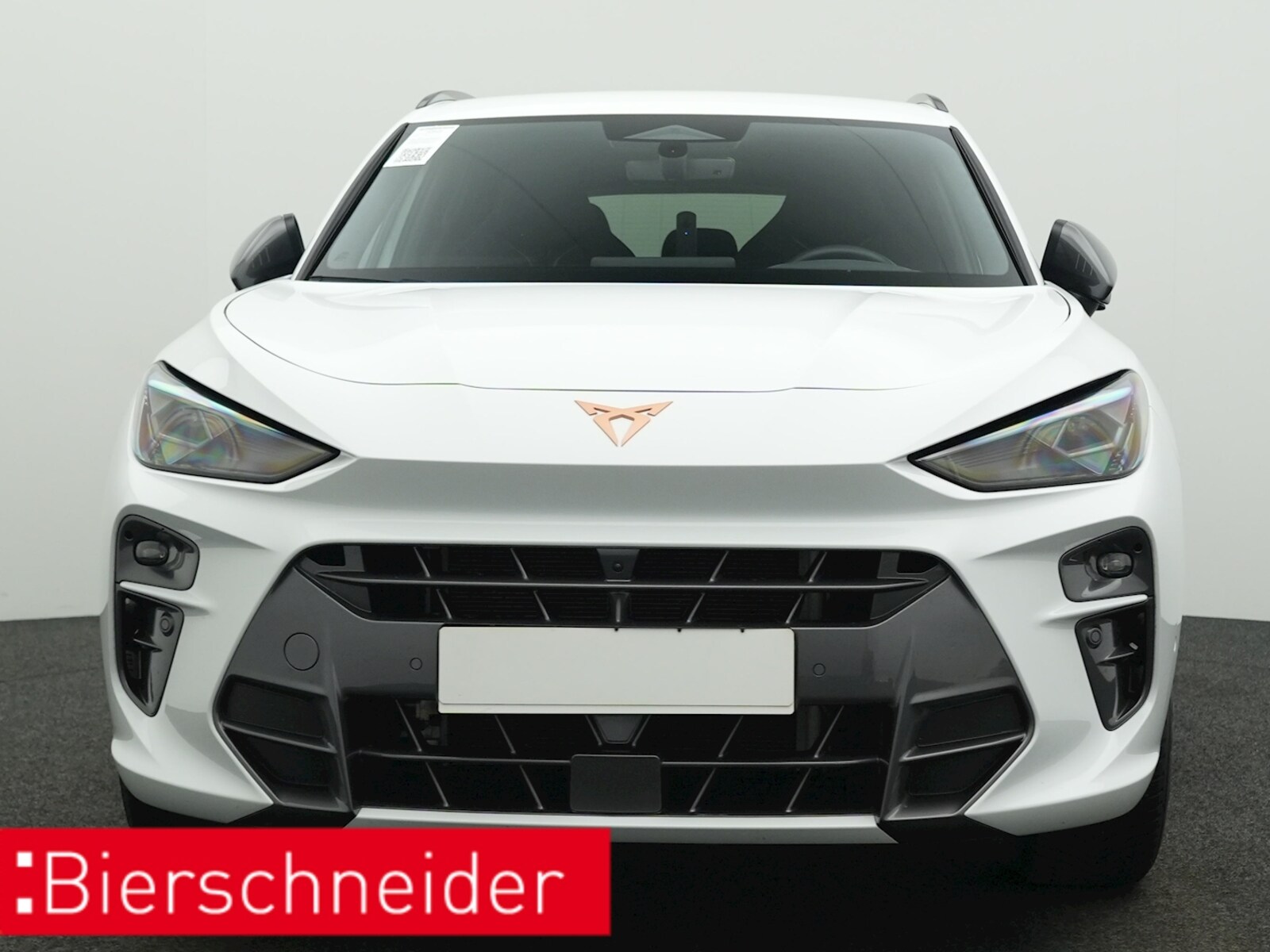 CUPRA Terramar – Bild 9