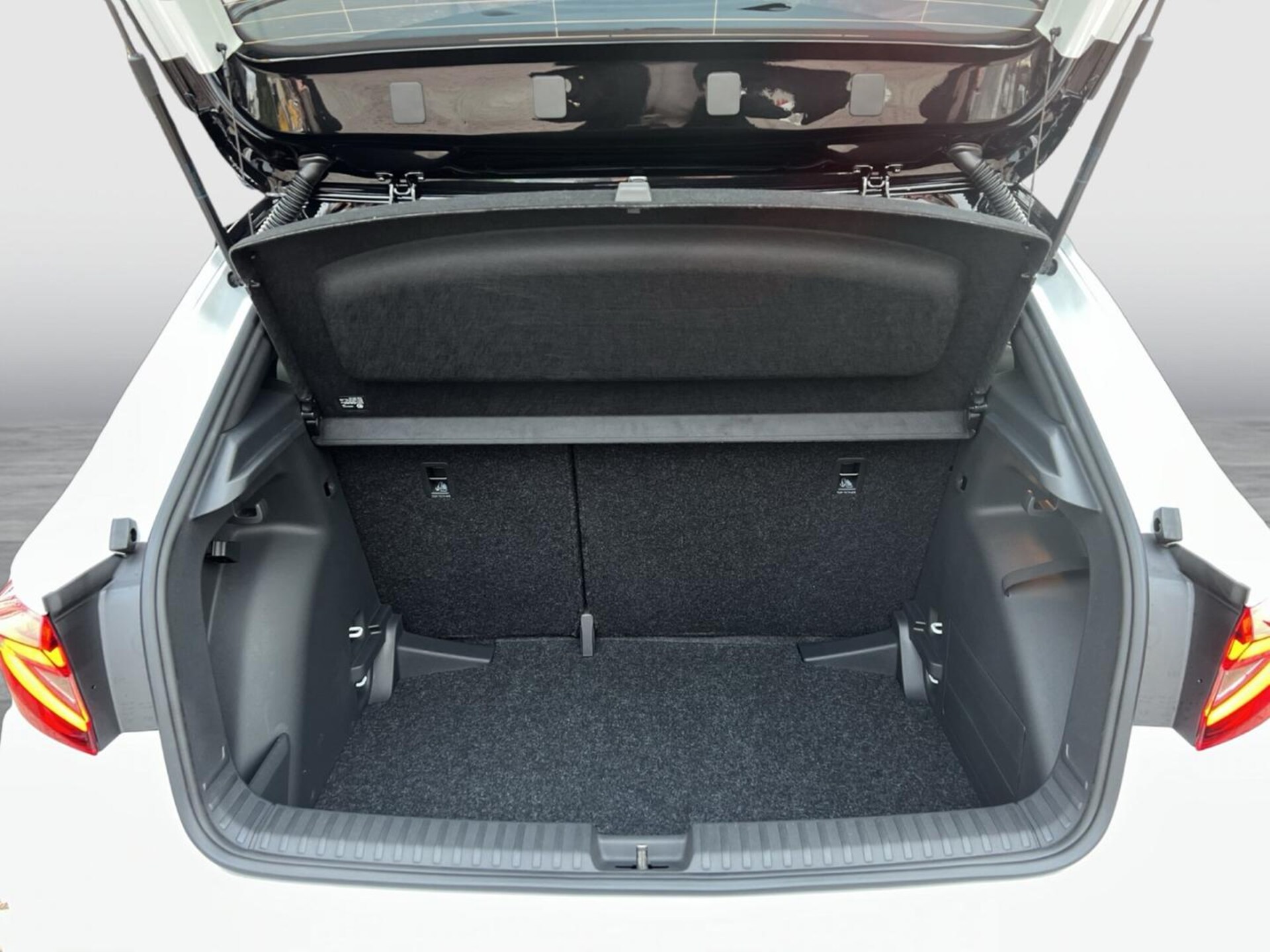 Skoda Fabia Monte Carlo