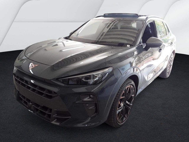 Bild des Autos 2
