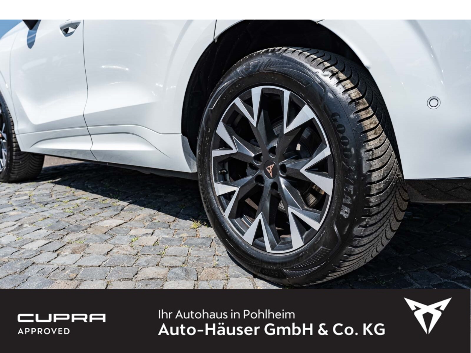 CUPRA Terramar – Bild 7