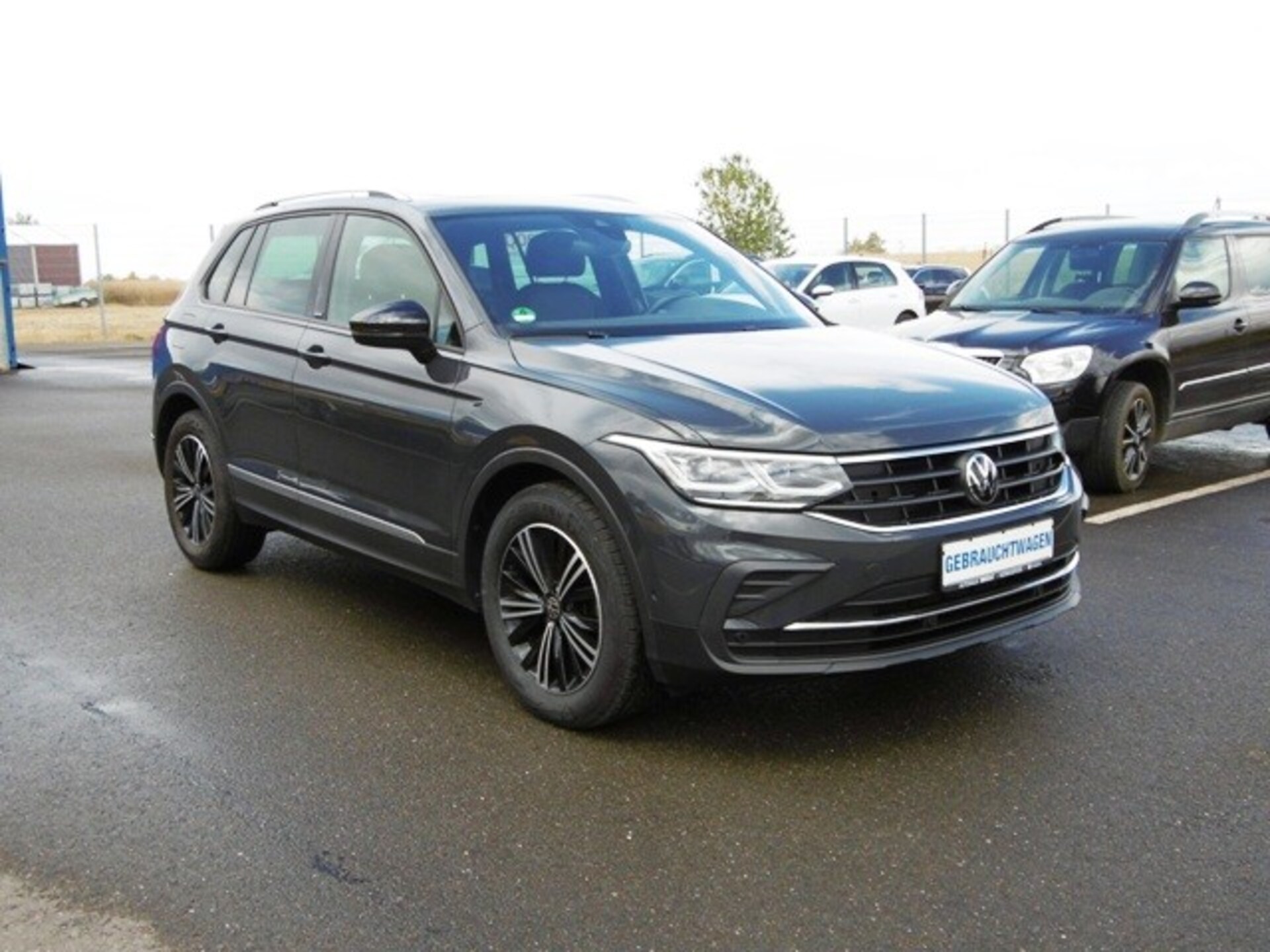 Volkswagen Tiguan Active