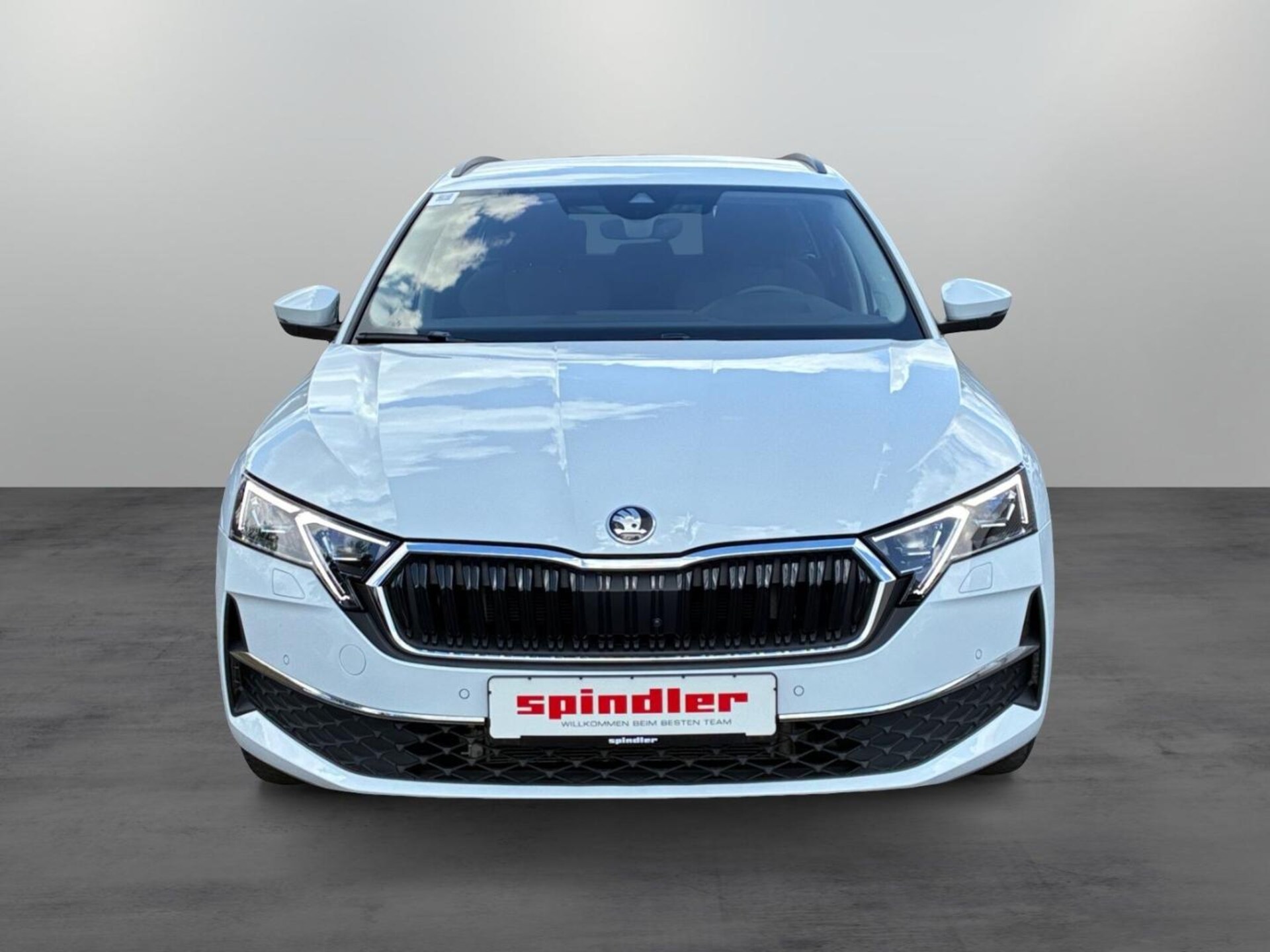 Skoda Octavia Combi Tour