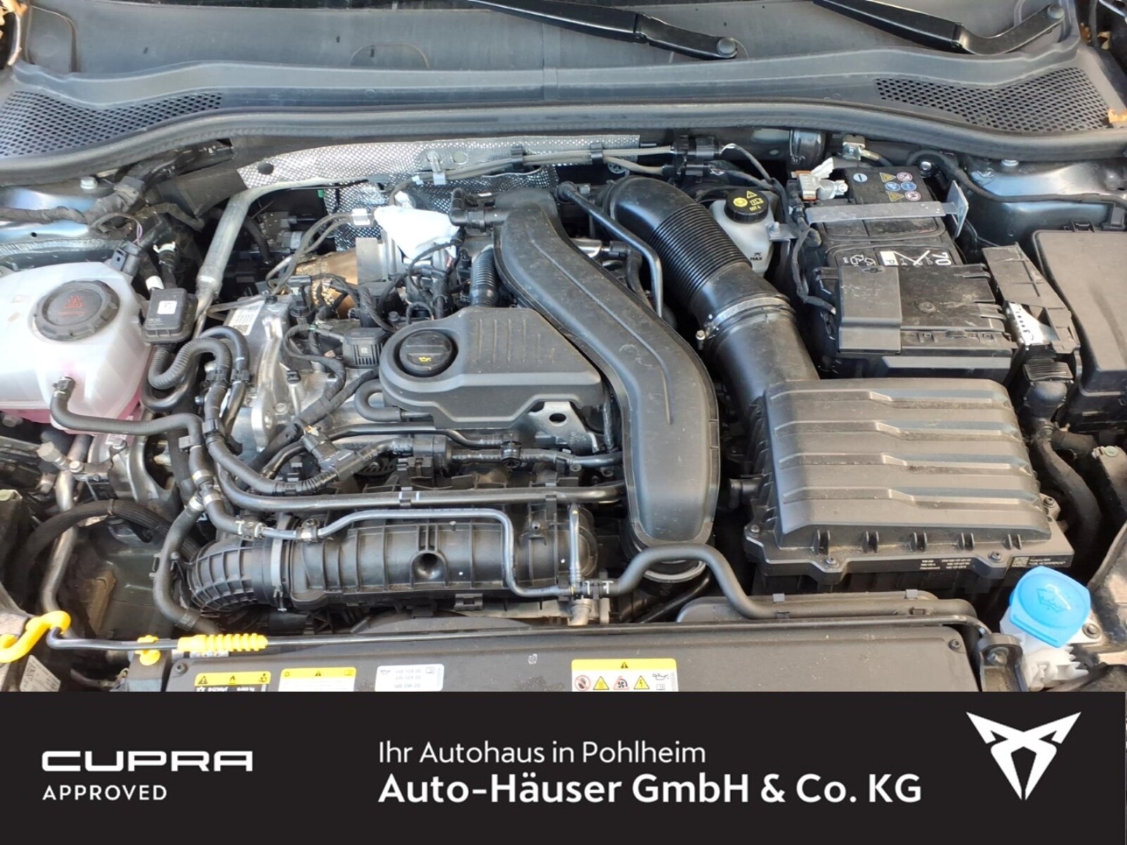 CUPRA Leon – Bild 7