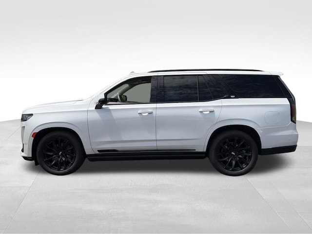 2024 Cadillac Escalade