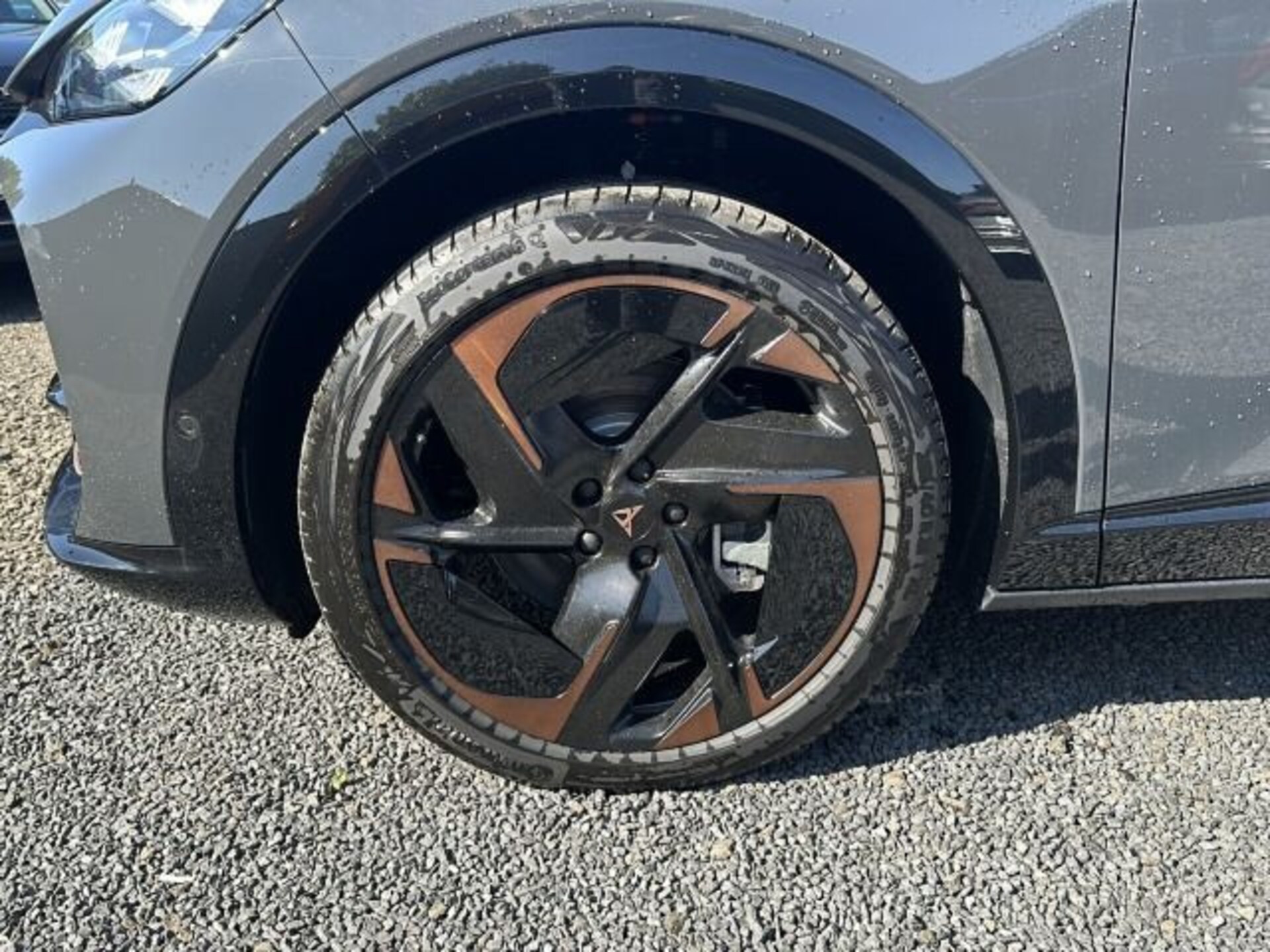CUPRA Tavascan Endurance