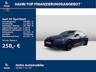 zweites Vorschaubild