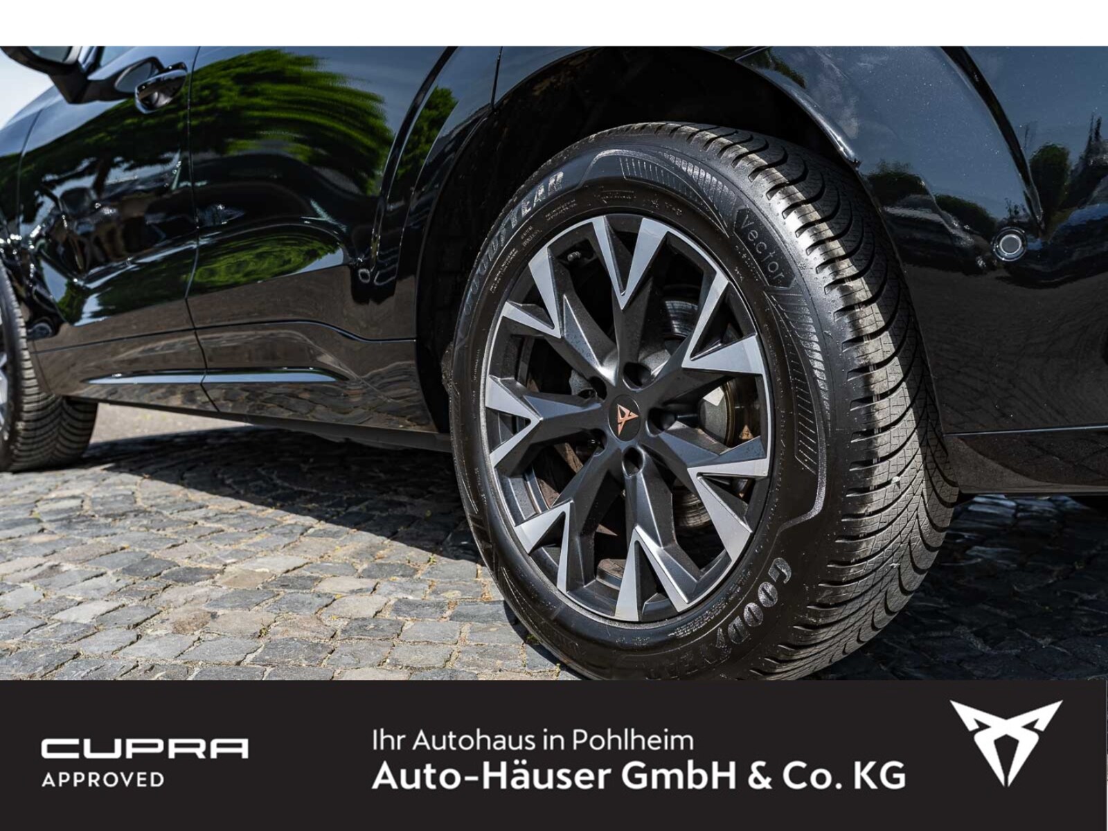 CUPRA Terramar – Bild 9