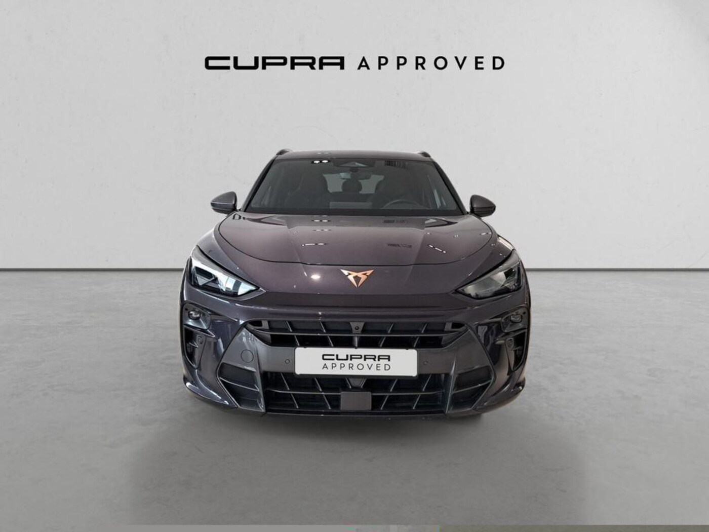 CUPRA Terramar 1.5 eTSI DSG 110 kW (150 CV) — photo 12