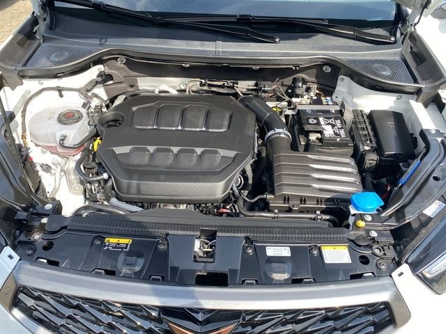 Bild des Autos 21