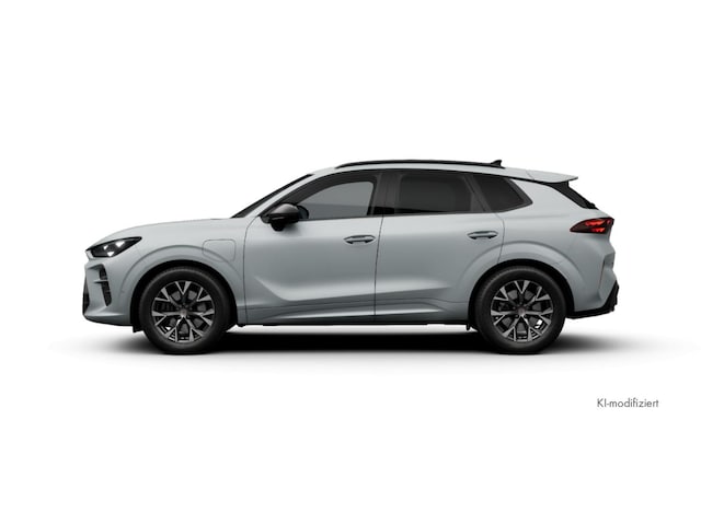 Bild des Autos 5