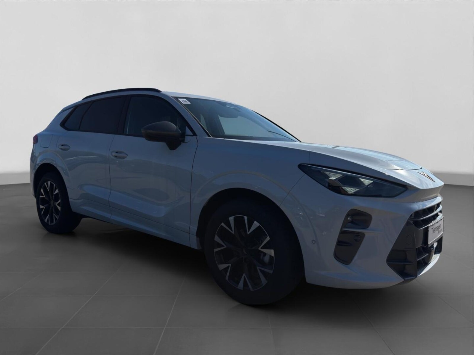 CUPRA Terramar – Bild 3
