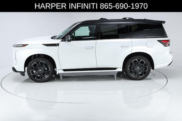 2026 Infiniti QX80