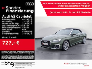 erstes Vorschaubild