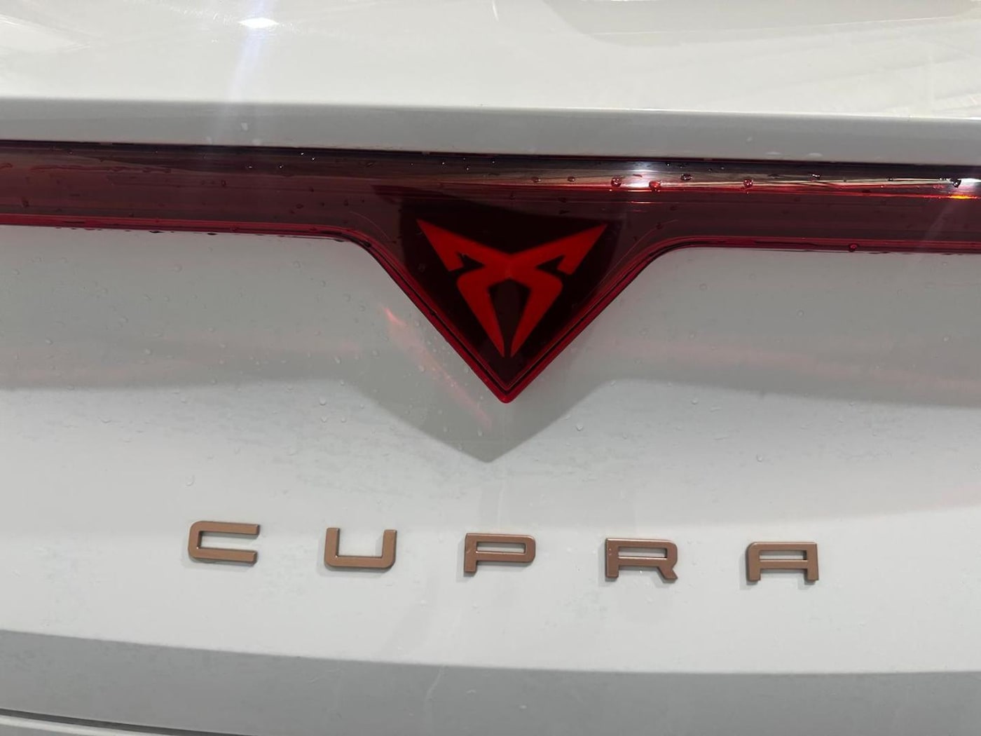 CUPRA Leon Sportstourer 1.5 eTSI DSG 110 kW (150 CV) — photo 31