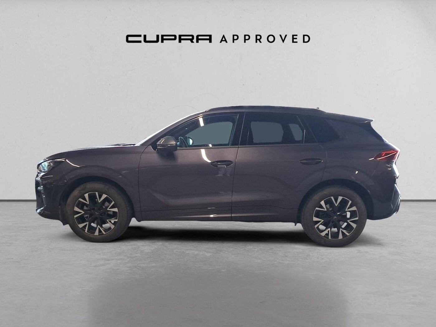 CUPRA Terramar 1.5 TSI e-Hybrid DSG 150 kW (204 CV) — photo 15
