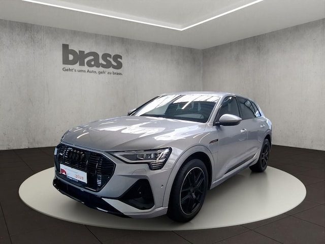 Audi e-tron occasion