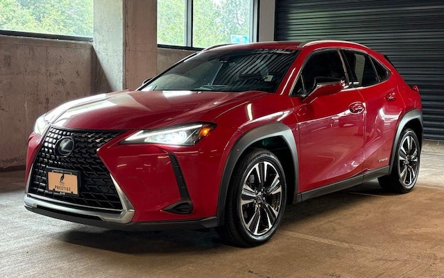 2019 Lexus UX 250h
