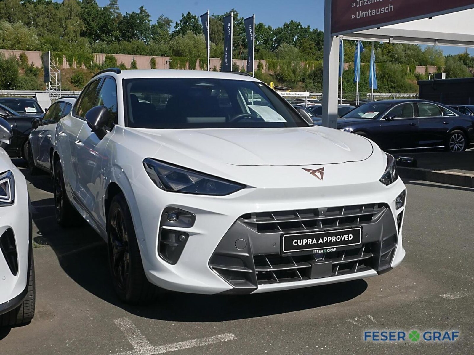 CUPRA Terramar – Bild 3