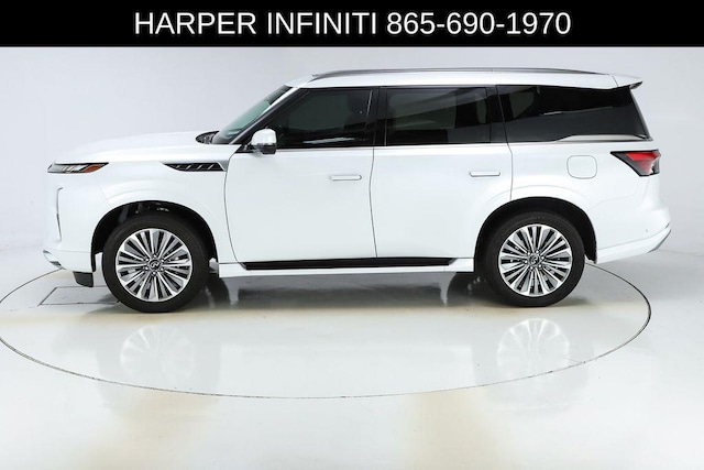 2025 Infiniti QX80