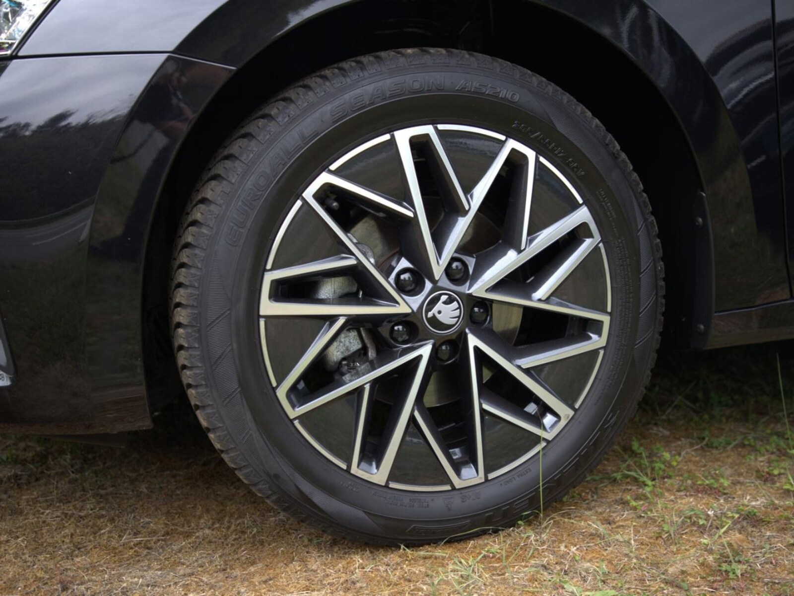 Škoda Octavia Combi – Bild 8