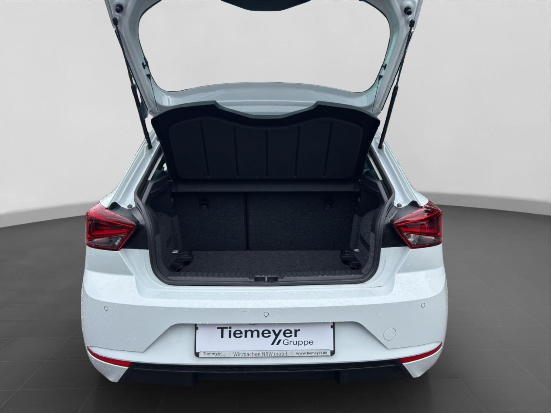 SEAT Ibiza Style