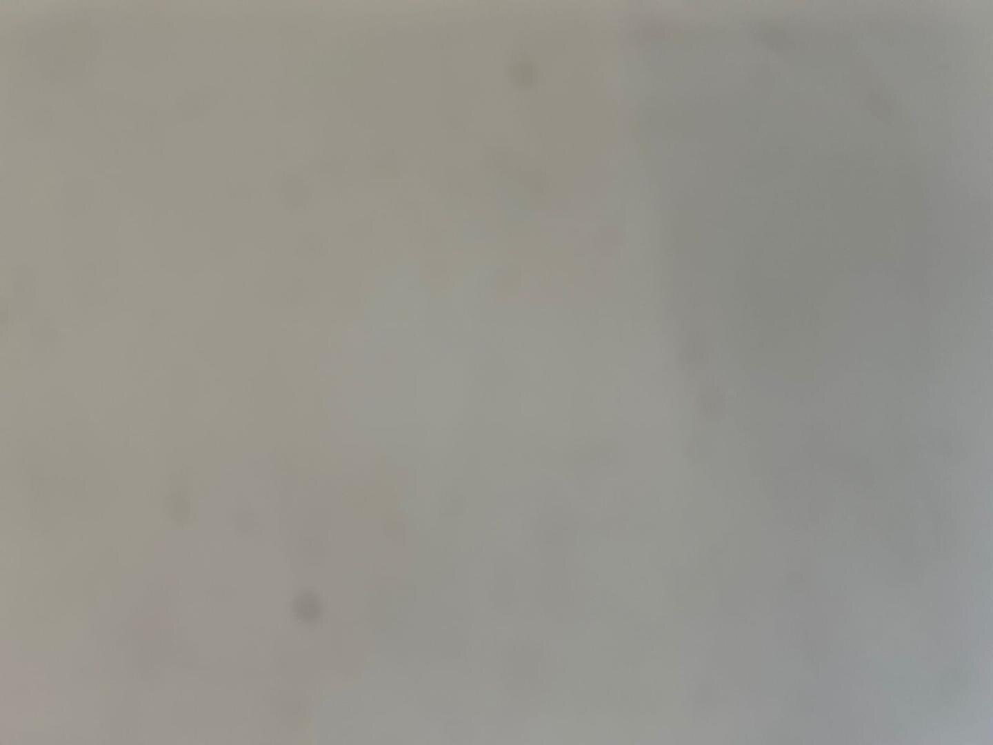 Image about Audi RS 6 Avant TFSI quattro tiptronic