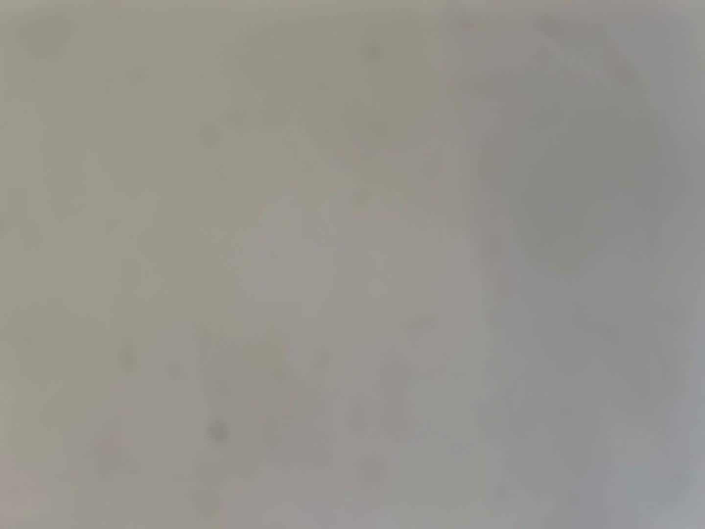 Image about Audi RS 6 Avant TFSI quattro tiptronic