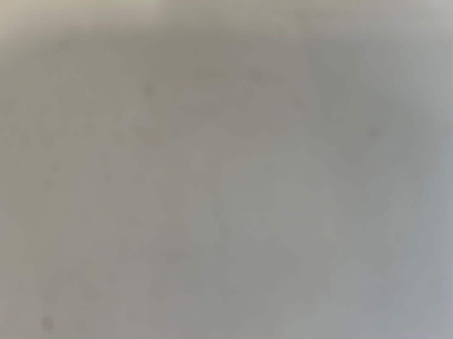 Image about Audi RS 6 Avant TFSI quattro tiptronic