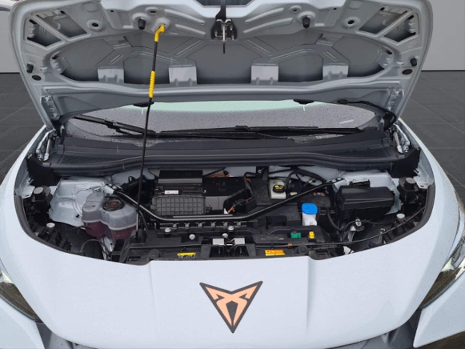 CUPRA Tavascan – Bild 22