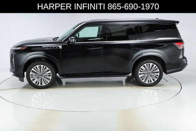 2025 Infiniti QX80