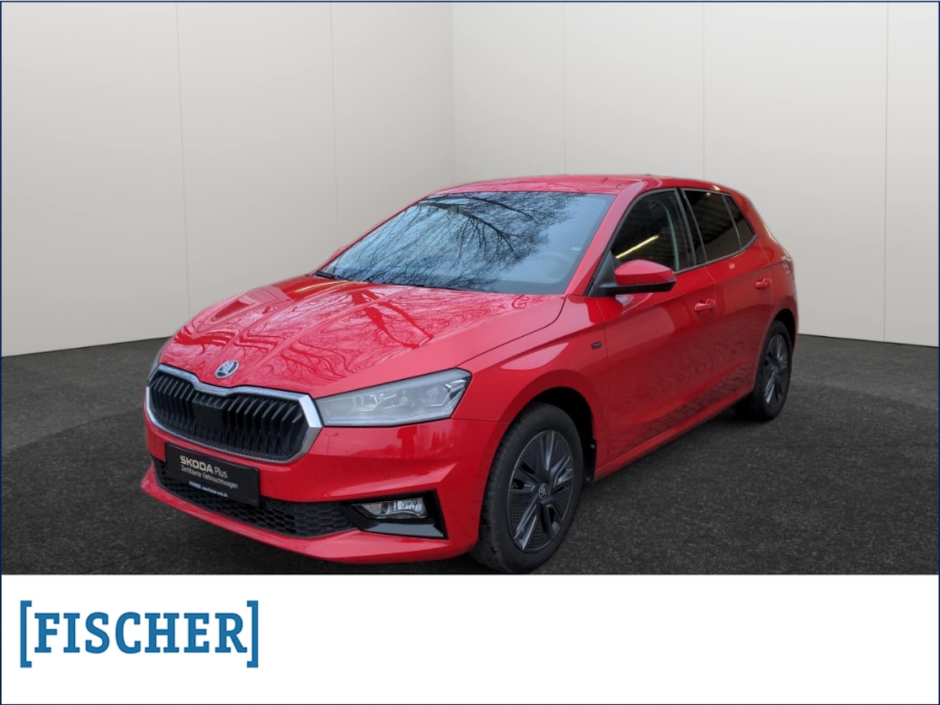 Skoda Fabia Tour