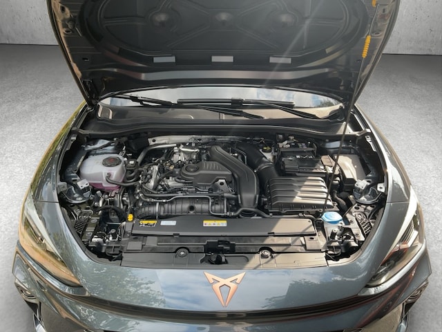 Bild des Autos 19