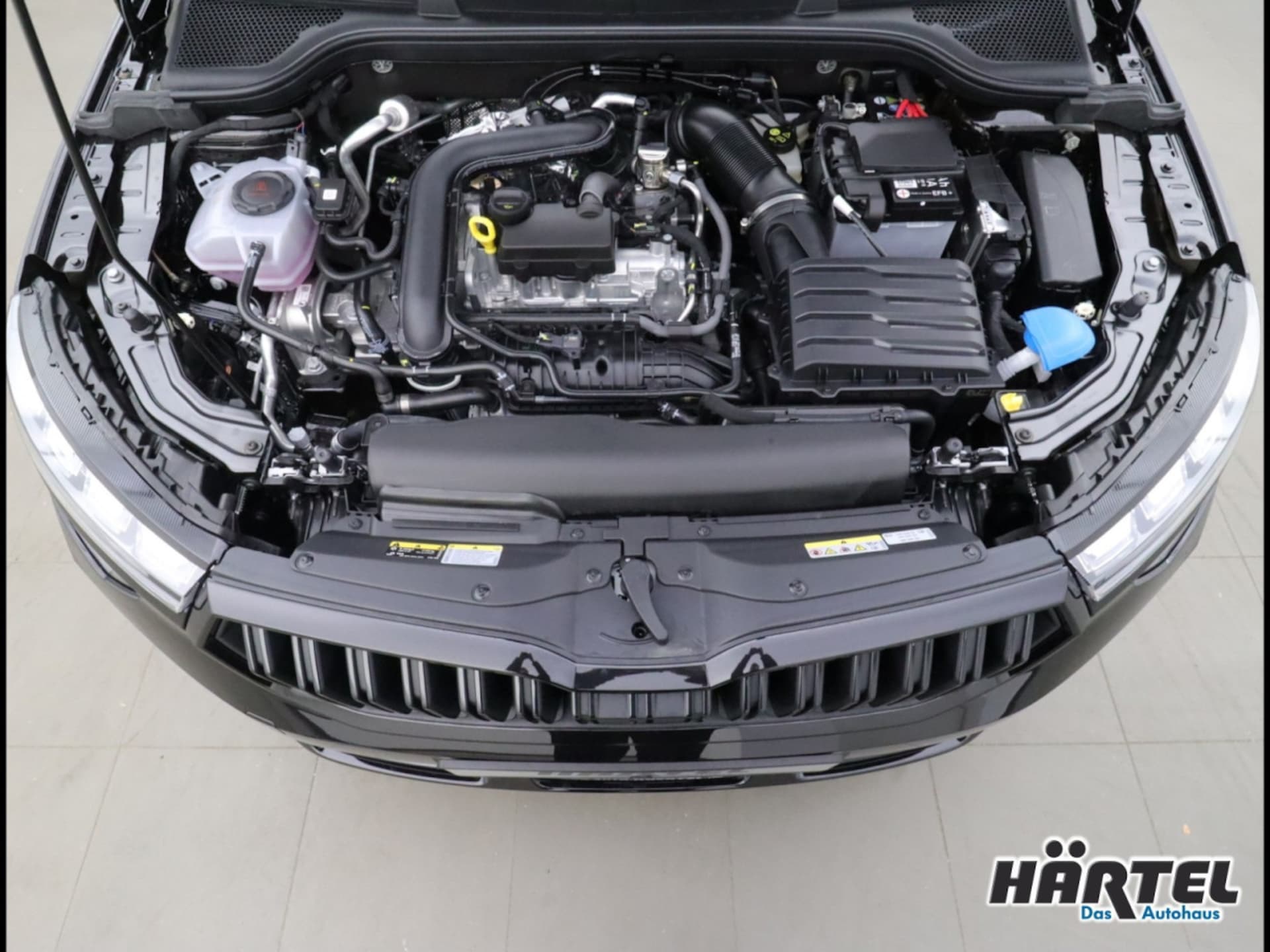 Skoda Kamiq Monte Carlo