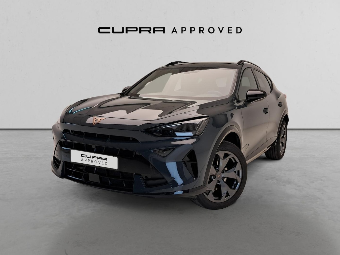 CUPRA Formentor 1.5 TSI e-Hybrid DSG 150 kW (204 CV) — photo 13