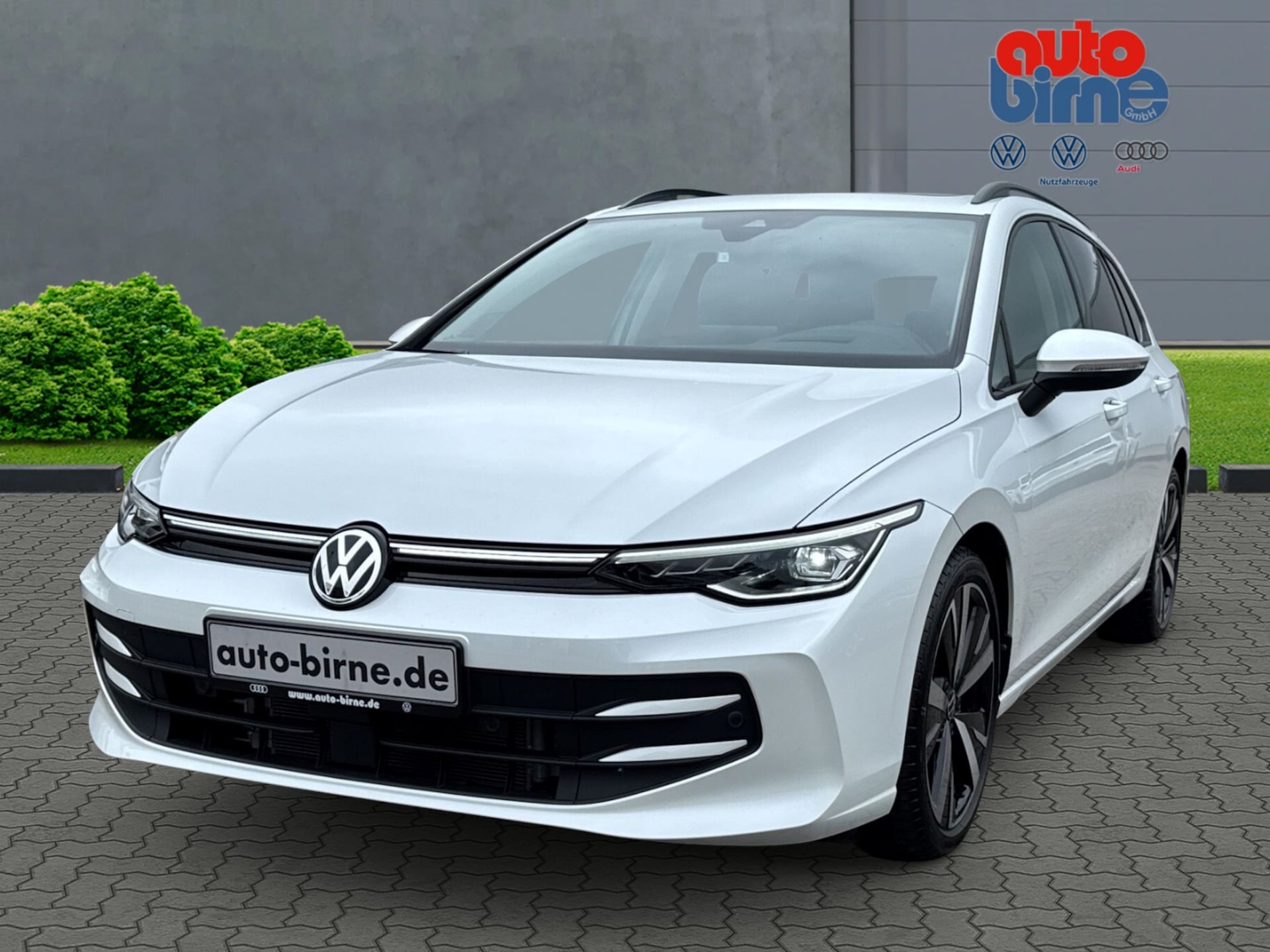 Volkswagen Golf Variant Life