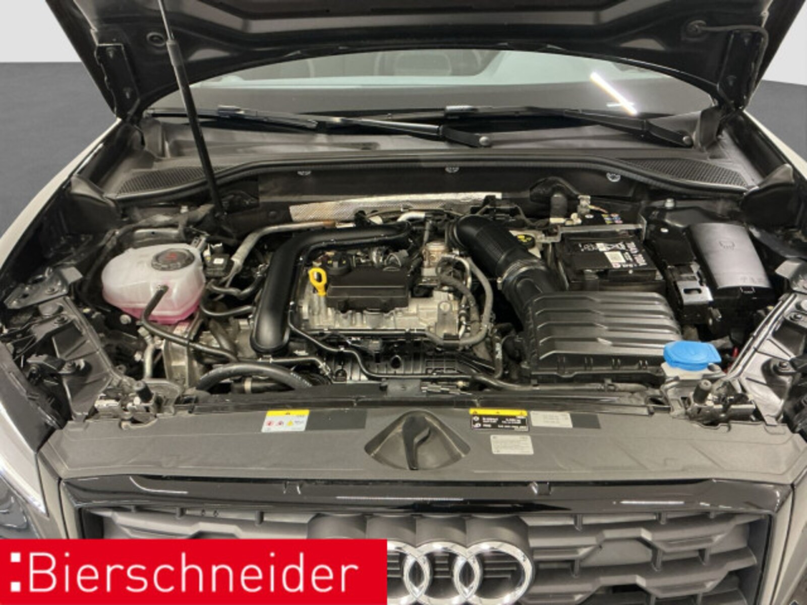 Audi Q2 – Bild 16