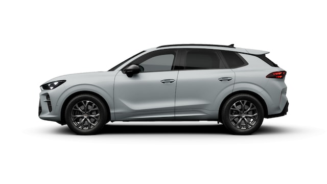 Bild des Autos 6