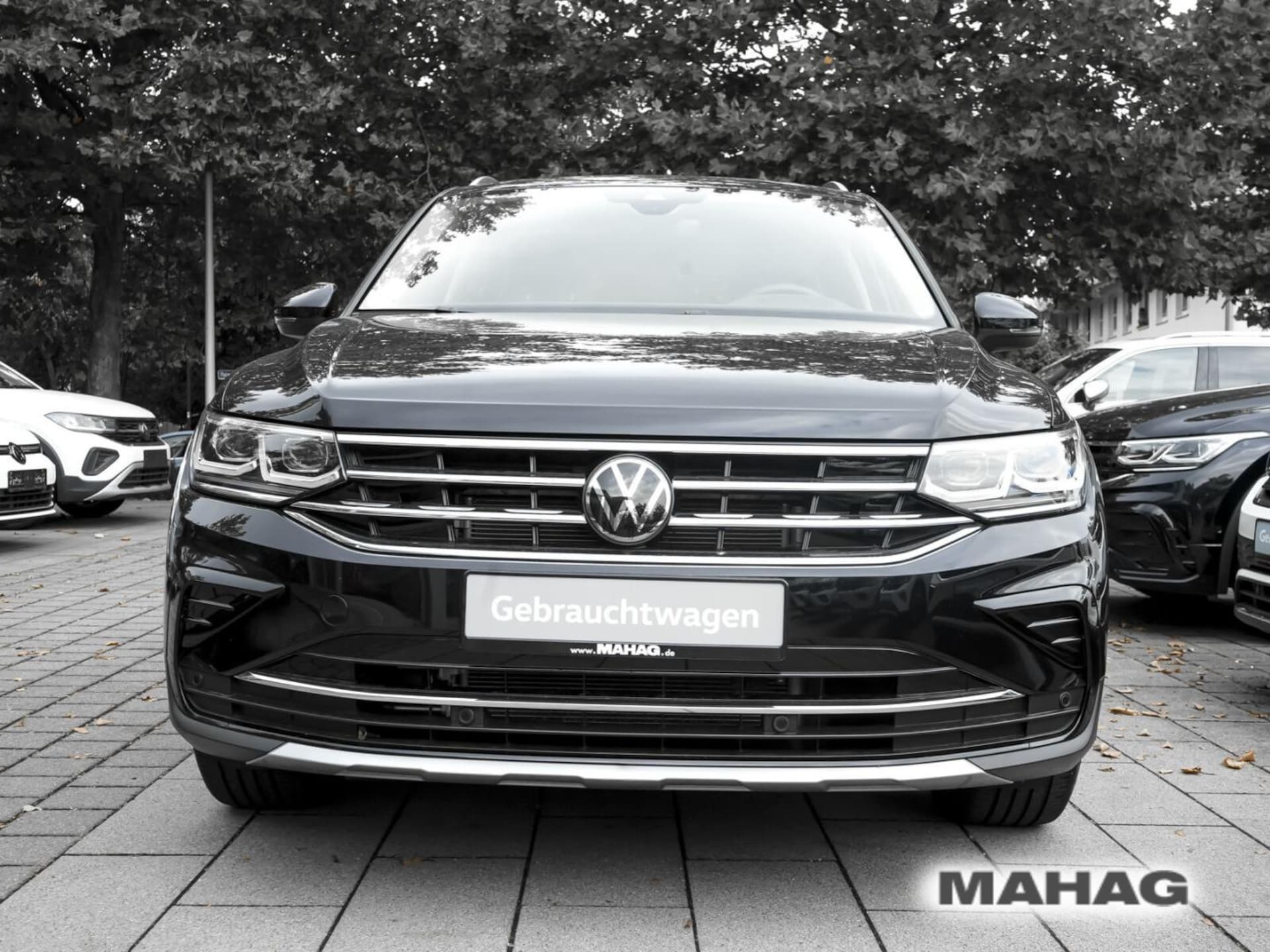 Volkswagen Tiguan Elegance