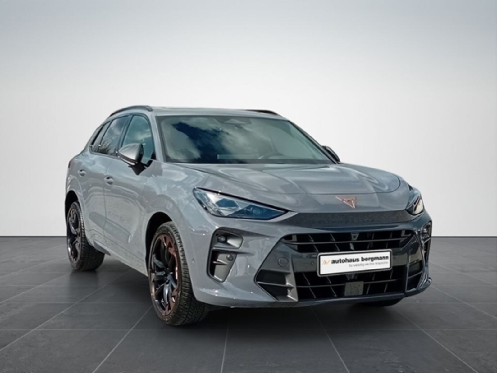 CUPRA Terramar – Bild 8