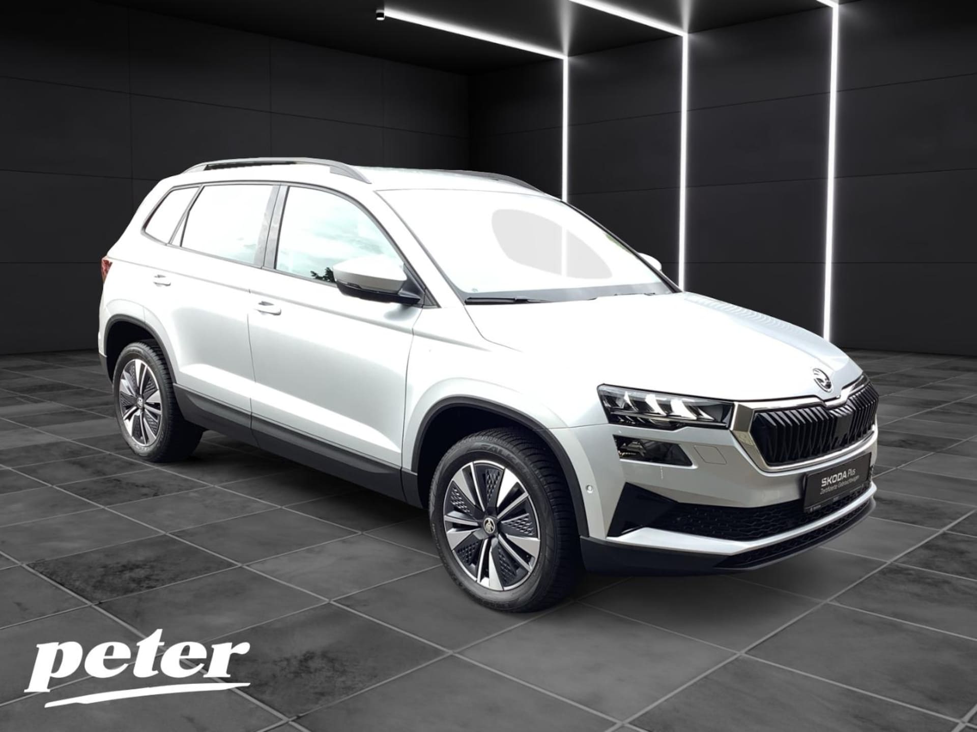 Skoda Karoq Ambition
