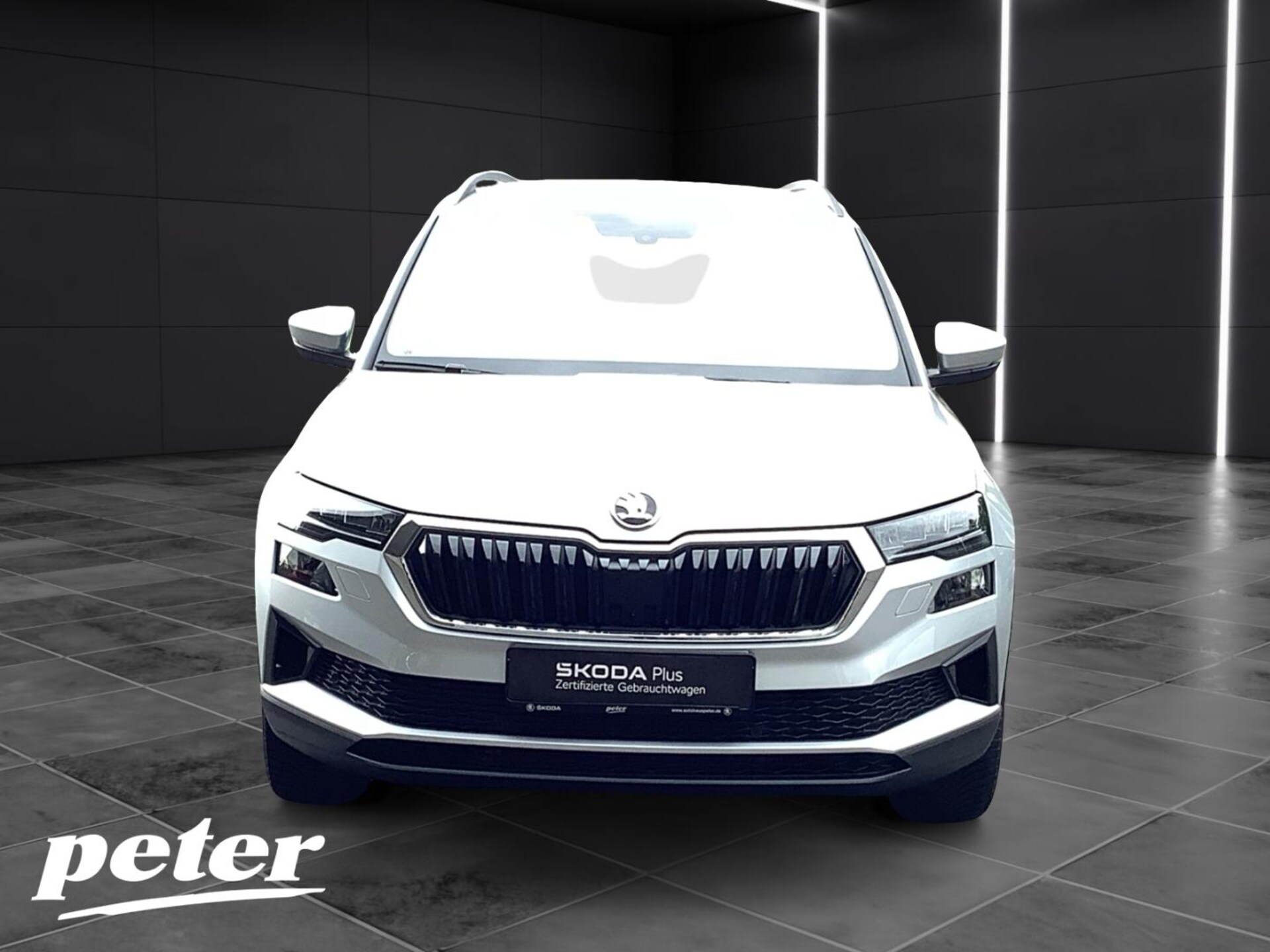 Skoda Karoq Ambition