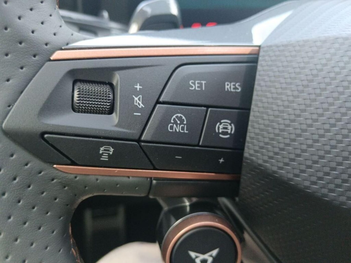 CUPRA Terramar 2.0 TSI VZ 4 Drive DSG 195 kW (265 CV) — photo 9