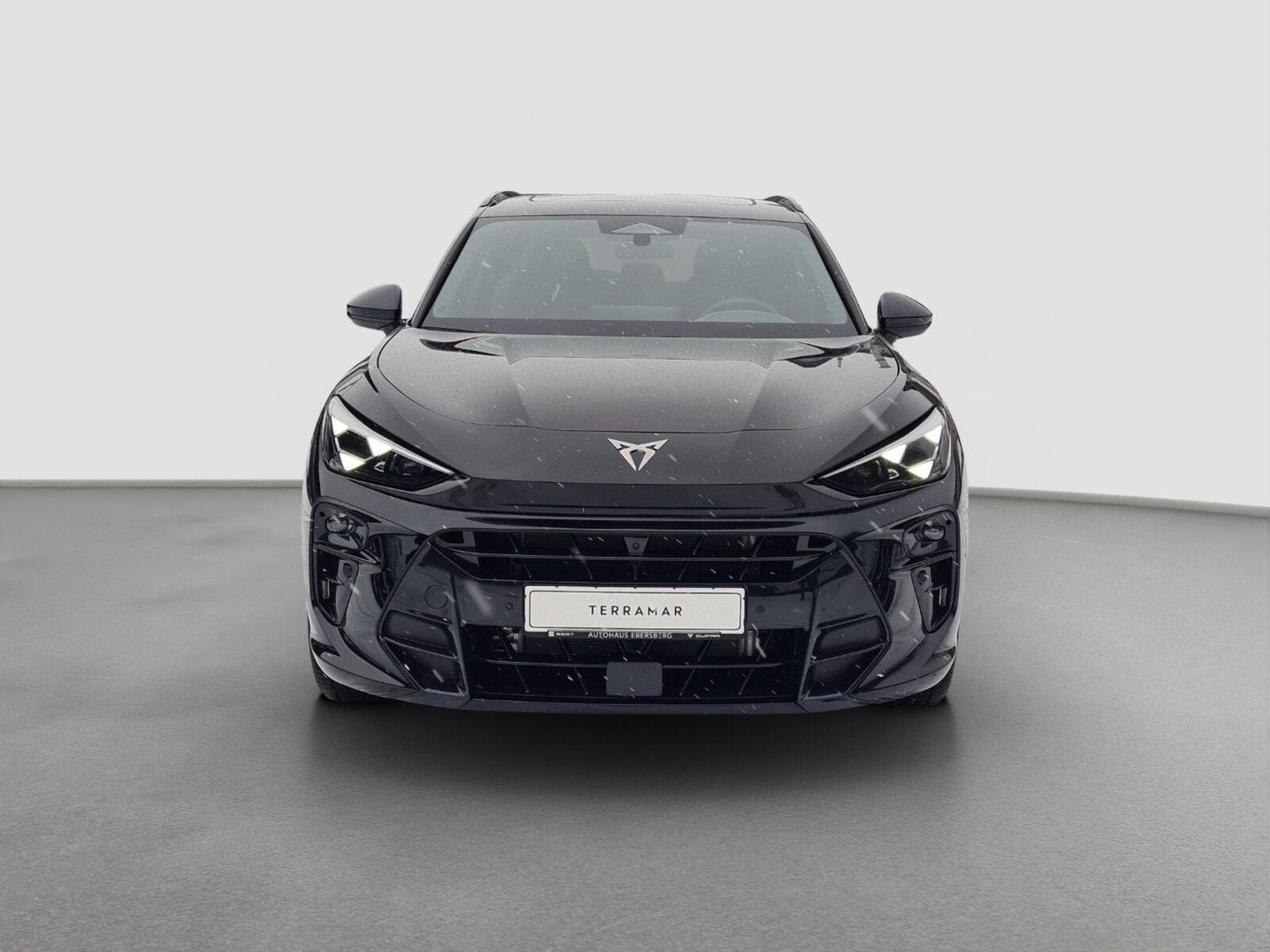 CUPRA Terramar – Bild 3