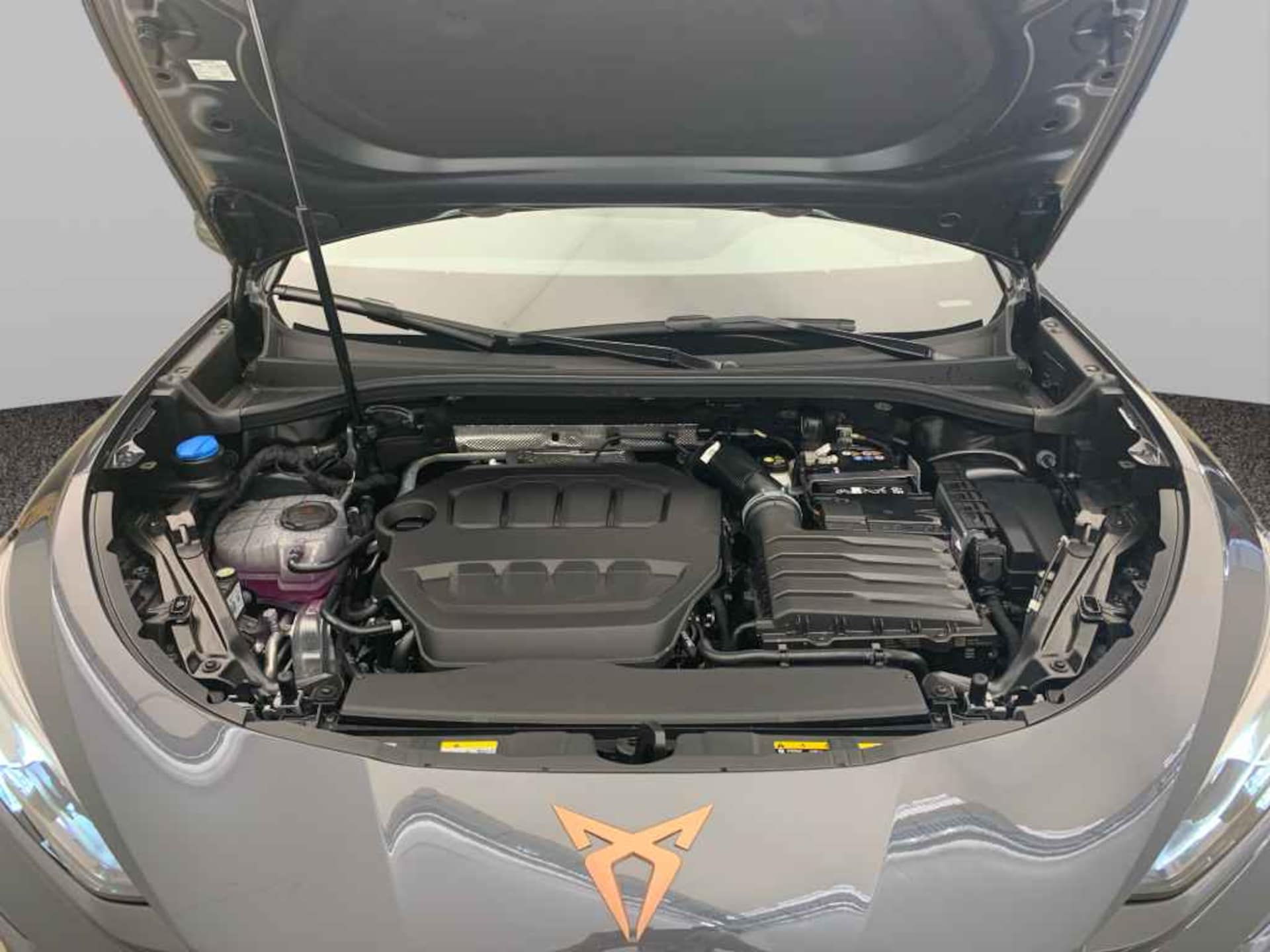 CUPRA Terramar VZ