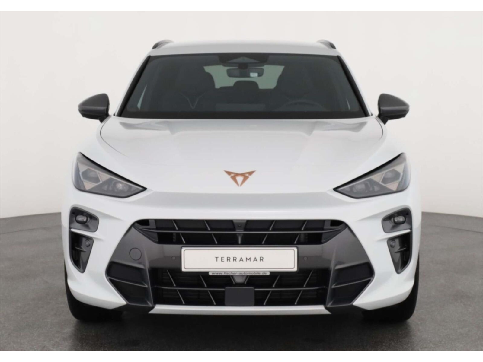 CUPRA Terramar – Bild 2