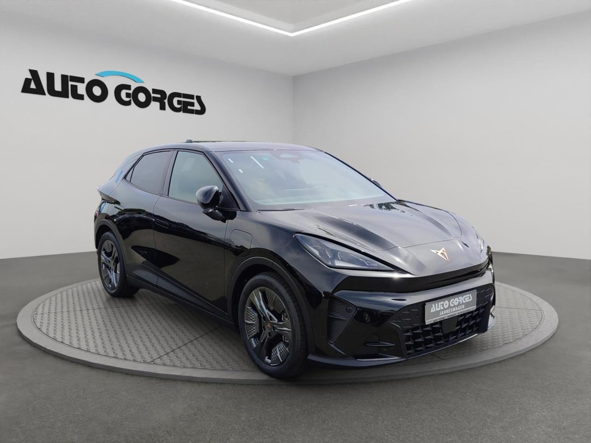 CUPRA Raval Endurance