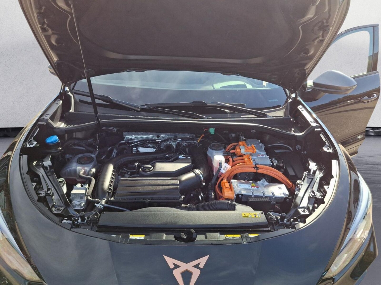 CUPRA Terramar – Bild 15